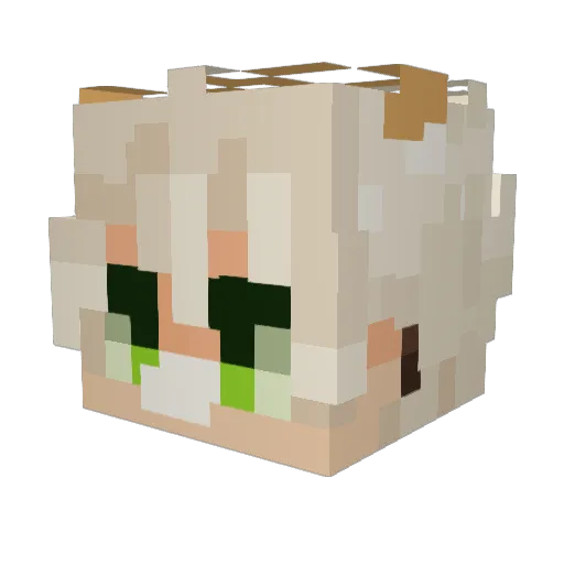 JimmyNootNoot Minecraft avatar head, 3D render