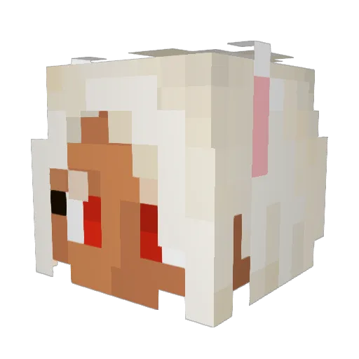 JimmyStubborn Minecraft avatar head, 3D render
