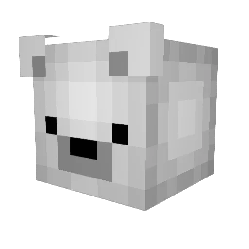 Jimmy_Neutron53 Minecraft avatar head, 3D render