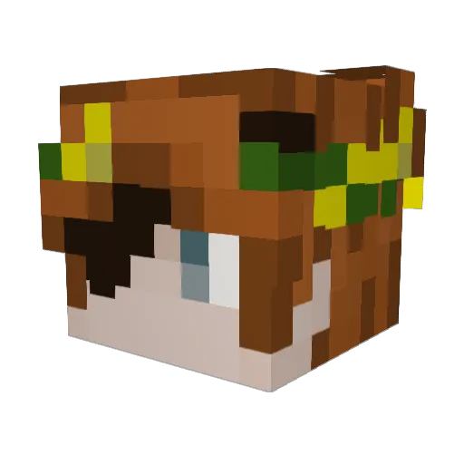 Jimmy_exe Minecraft avatar head, 3D render