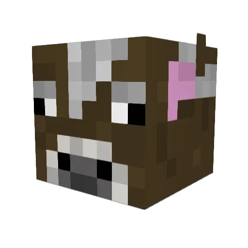 Jimmymango27 Minecraft avatar head, 3D render
