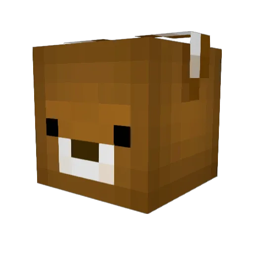 JimmysFarm Minecraft avatar head, 3D render