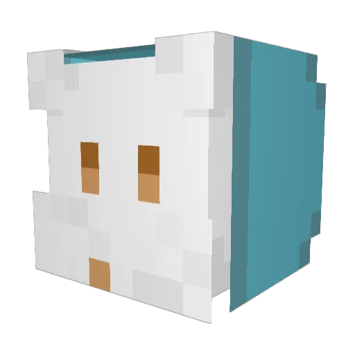 Jimoomin Minecraft avatar head, 3D render