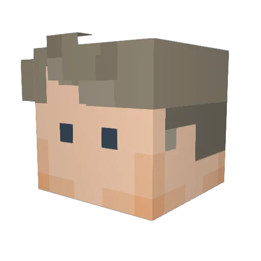 JimothyCarter Minecraft avatar head, 3D render