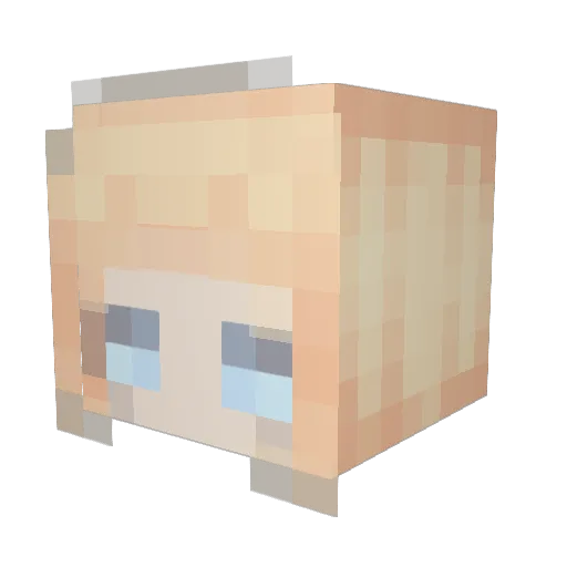 Jimsan_0817 Minecraft avatar head, 3D render