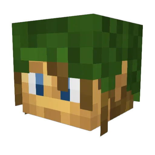Jimskiblocks Minecraft avatar head, 3D render