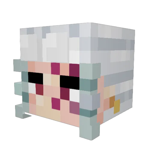 Jimtaylor98 Minecraft avatar head, 3D render