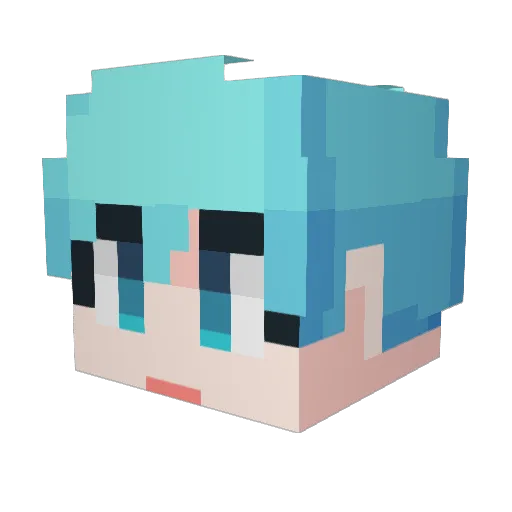 Jin00002 Minecraft avatar head, 3D render