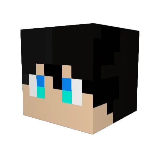 Jin1024 Minecraft avatar head, 3D render
