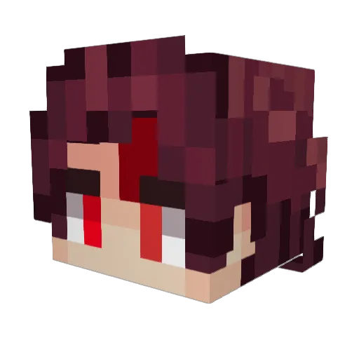 Jin2213 Minecraft avatar head, 3D render