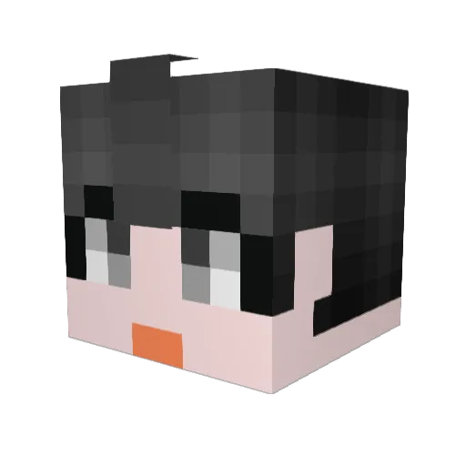 JinHong_ Minecraft avatar head, 3D render