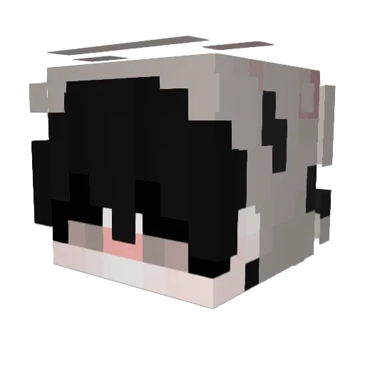 JinVN Minecraft avatar head, 3D render