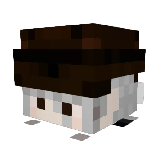 JinXD1004 Minecraft avatar head, 3D render