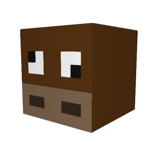 Jindeung_gil Minecraft avatar head, 3D render