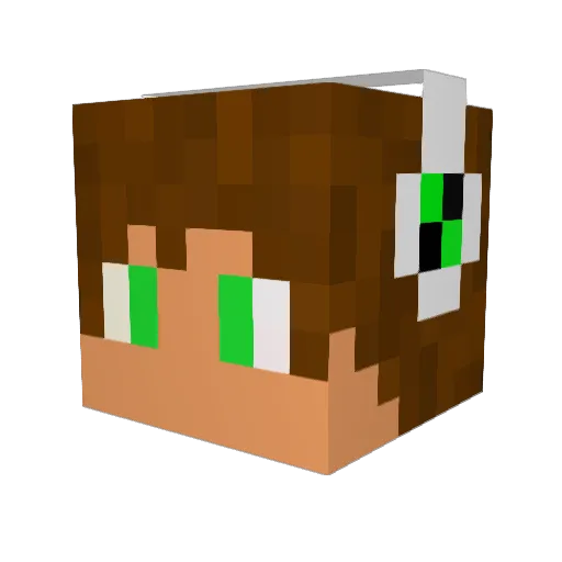 JindraGamerc Minecraft avatar head, 3D render