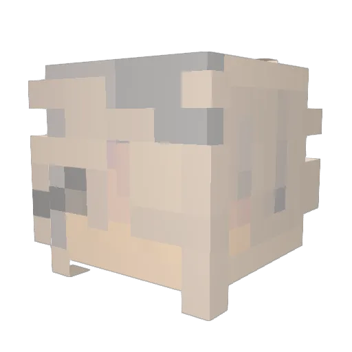Jinetics Minecraft avatar head, 3D render