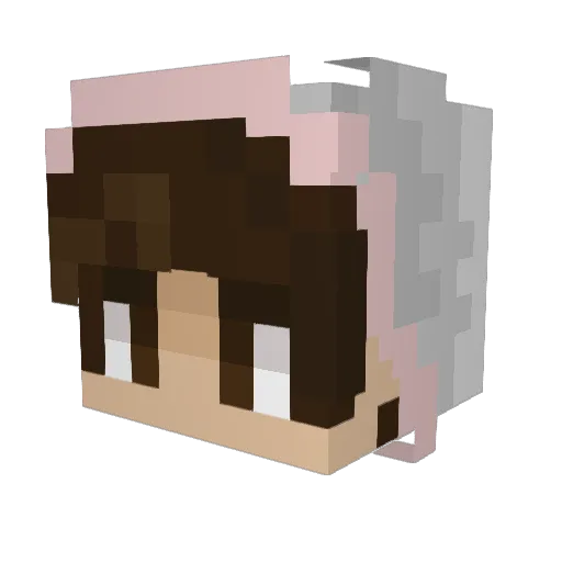 Jing0221 Minecraft avatar head, 3D render