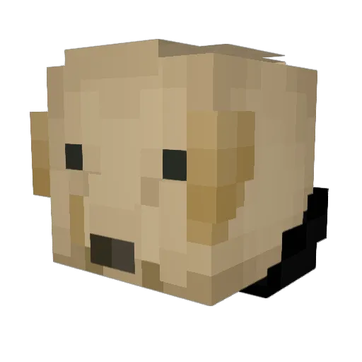 JingJing1220 Minecraft avatar head, 3D render