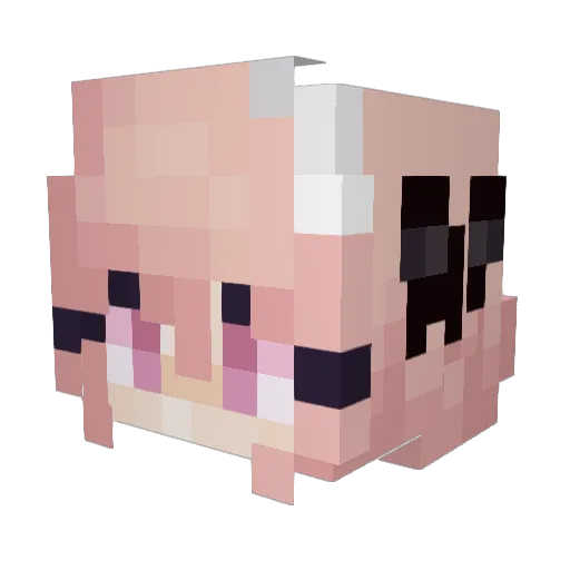 Jingall Minecraft avatar head, 3D render