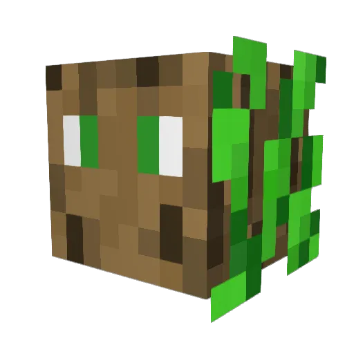 Jinglis101 Minecraft avatar head, 3D render