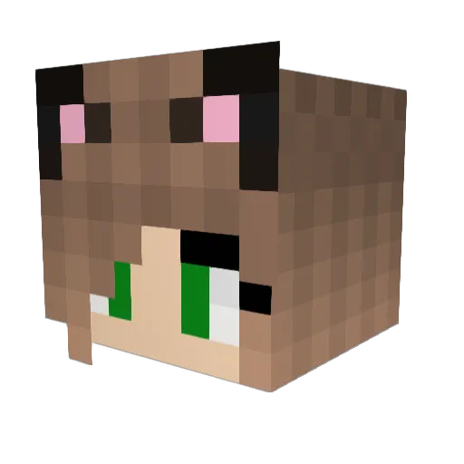 JiniBoreg Minecraft avatar head, 3D render