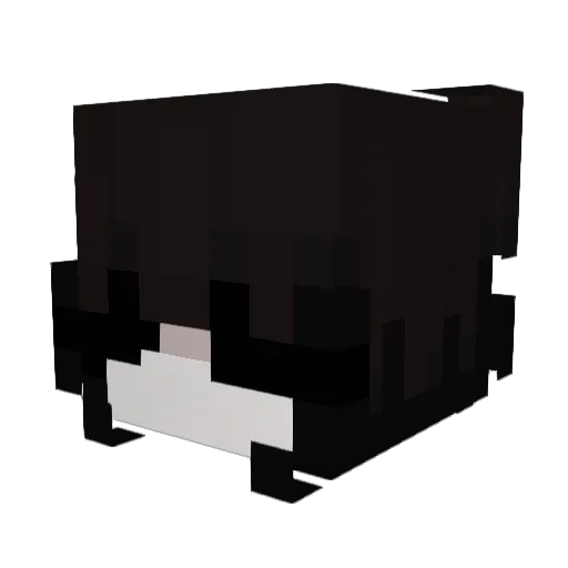 Jinifer Minecraft avatar head, 3D render