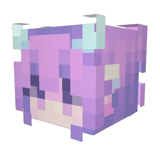 JinkensOP Minecraft avatar head, 3D render