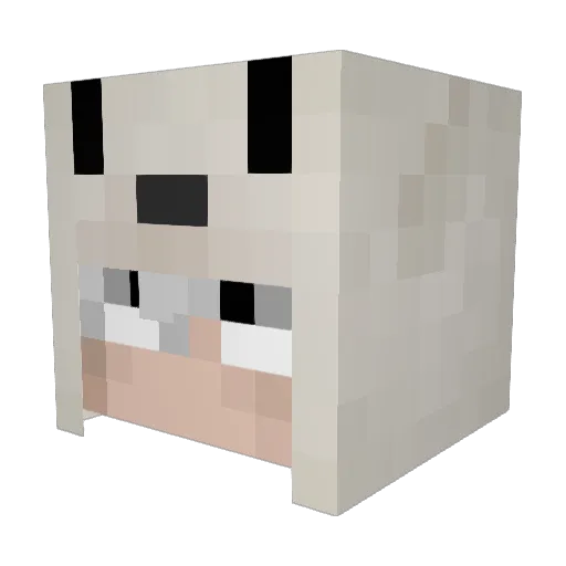 Jinky Minecraft avatar head, 3D render