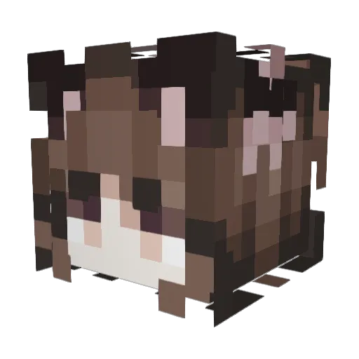 Jinnarrys_Bat Minecraft avatar head, 3D render