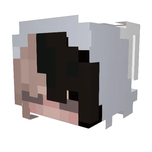 Jinnibean Minecraft avatar head, 3D render