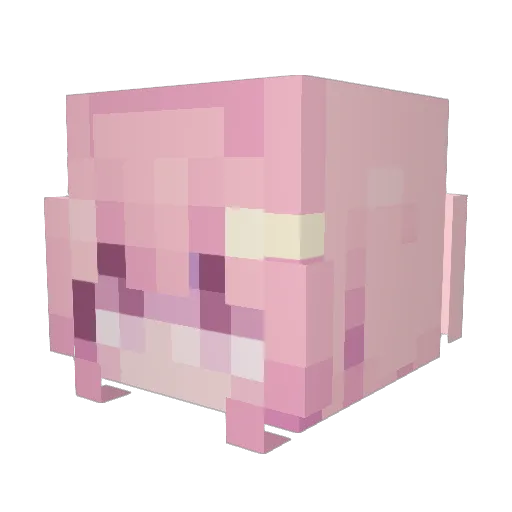 Jinnnxxx Minecraft avatar head, 3D render