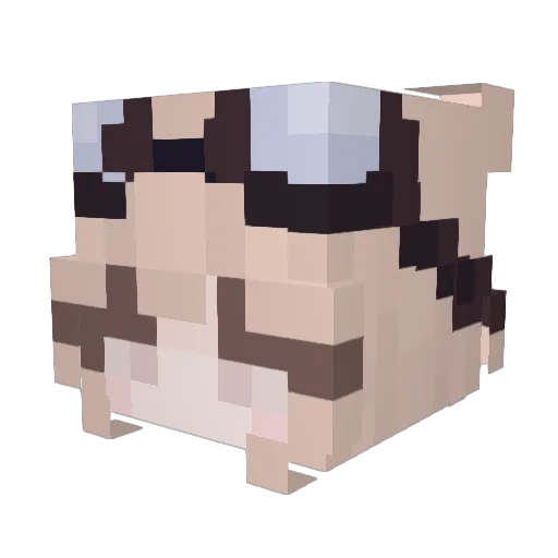 Jinsoon_2 Minecraft avatar head, 3D render
