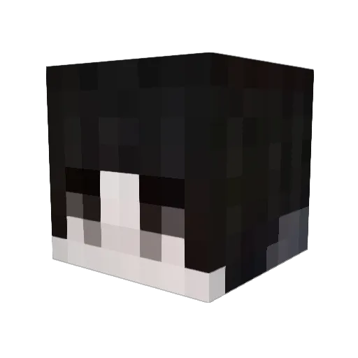 Jinsu1004 Minecraft avatar head, 3D render