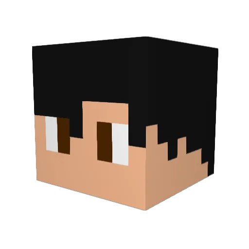 Jinsu2508 Minecraft avatar head, 3D render