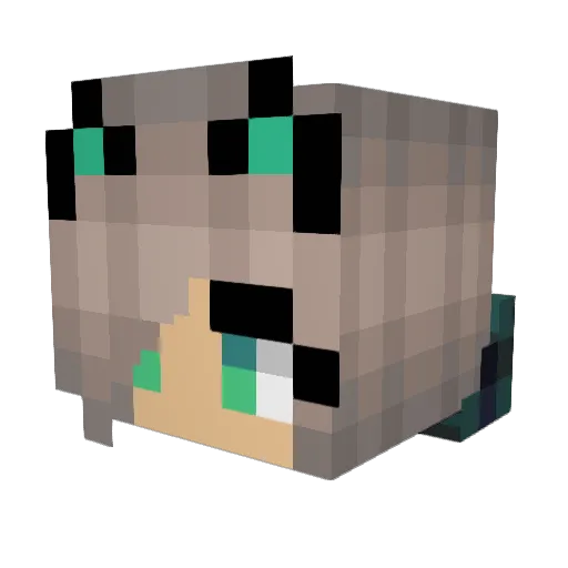 Jinx1618 Minecraft avatar head, 3D render