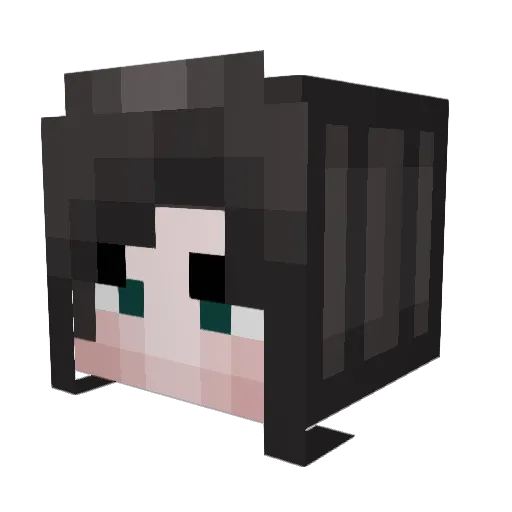 Jinx4Life Minecraft avatar head, 3D render