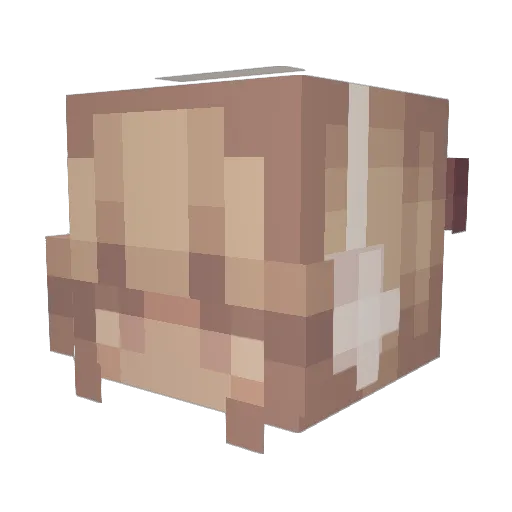 JinxVes Minecraft avatar head, 3D render
