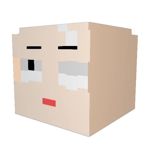 Jiny_ Minecraft avatar head, 3D render