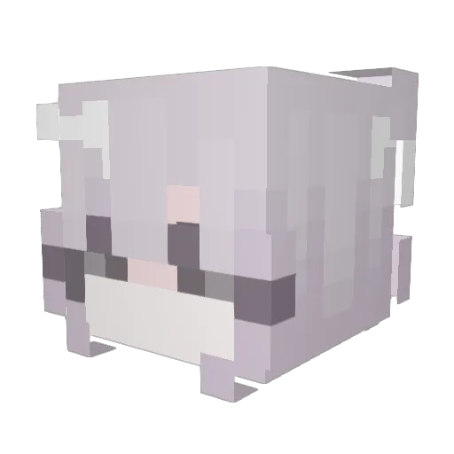 Jinyle Minecraft avatar head, 3D render