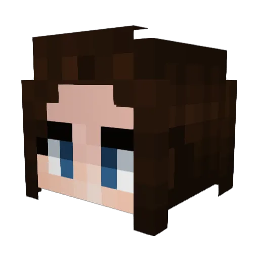 Jipper2011 Minecraft avatar head, 3D render