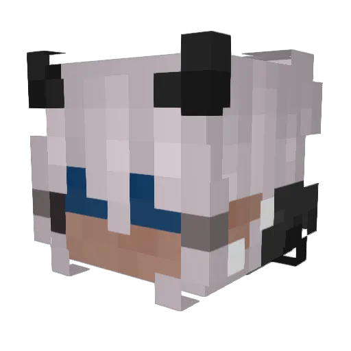 Jira13 Minecraft avatar head, 3D render