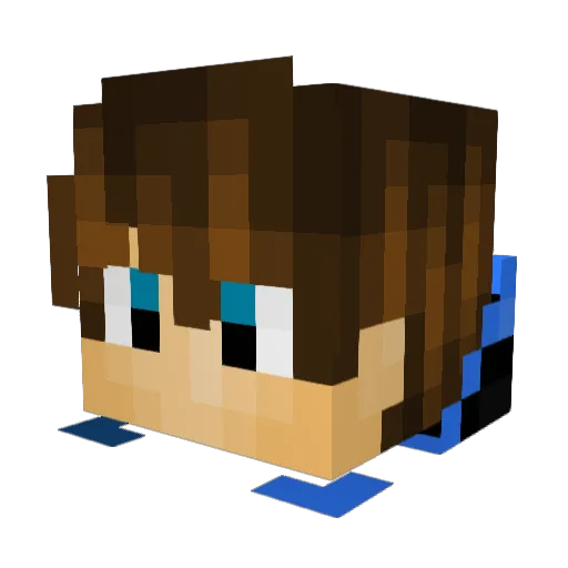 Jirecek Minecraft avatar head, 3D render