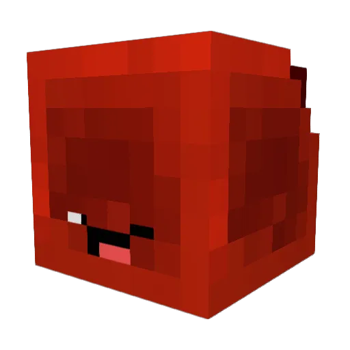Jiri_rs Minecraft avatar head, 3D render