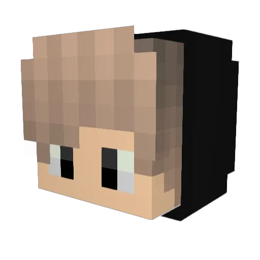 Jirikaku Minecraft avatar head, 3D render