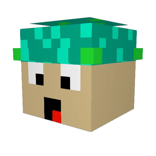 Jirma_cz Minecraft avatar head, 3D render