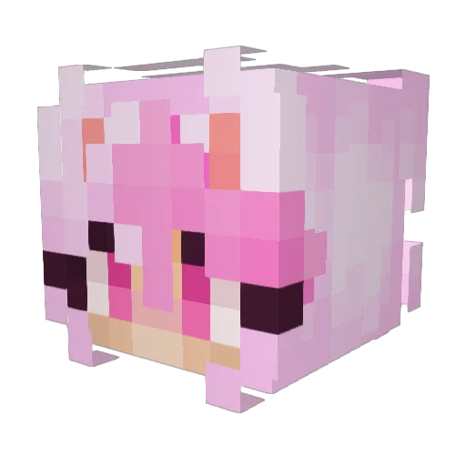 JirniyUwU Minecraft avatar head, 3D render