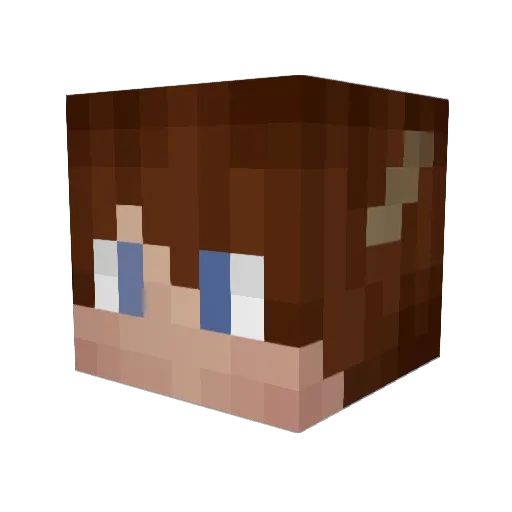 Jish_Swish Minecraft avatar head, 3D render