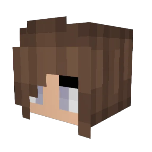Jishie Minecraft avatar head, 3D render