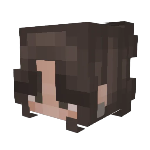 Jisoo_arin Minecraft avatar head, 3D render