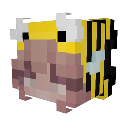 JitRit Minecraft avatar head, 3D render